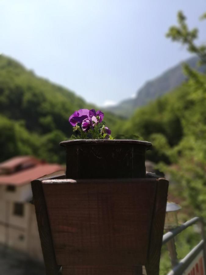 Дом Бакалски-Кмета Narechenski Bani Exterior photo